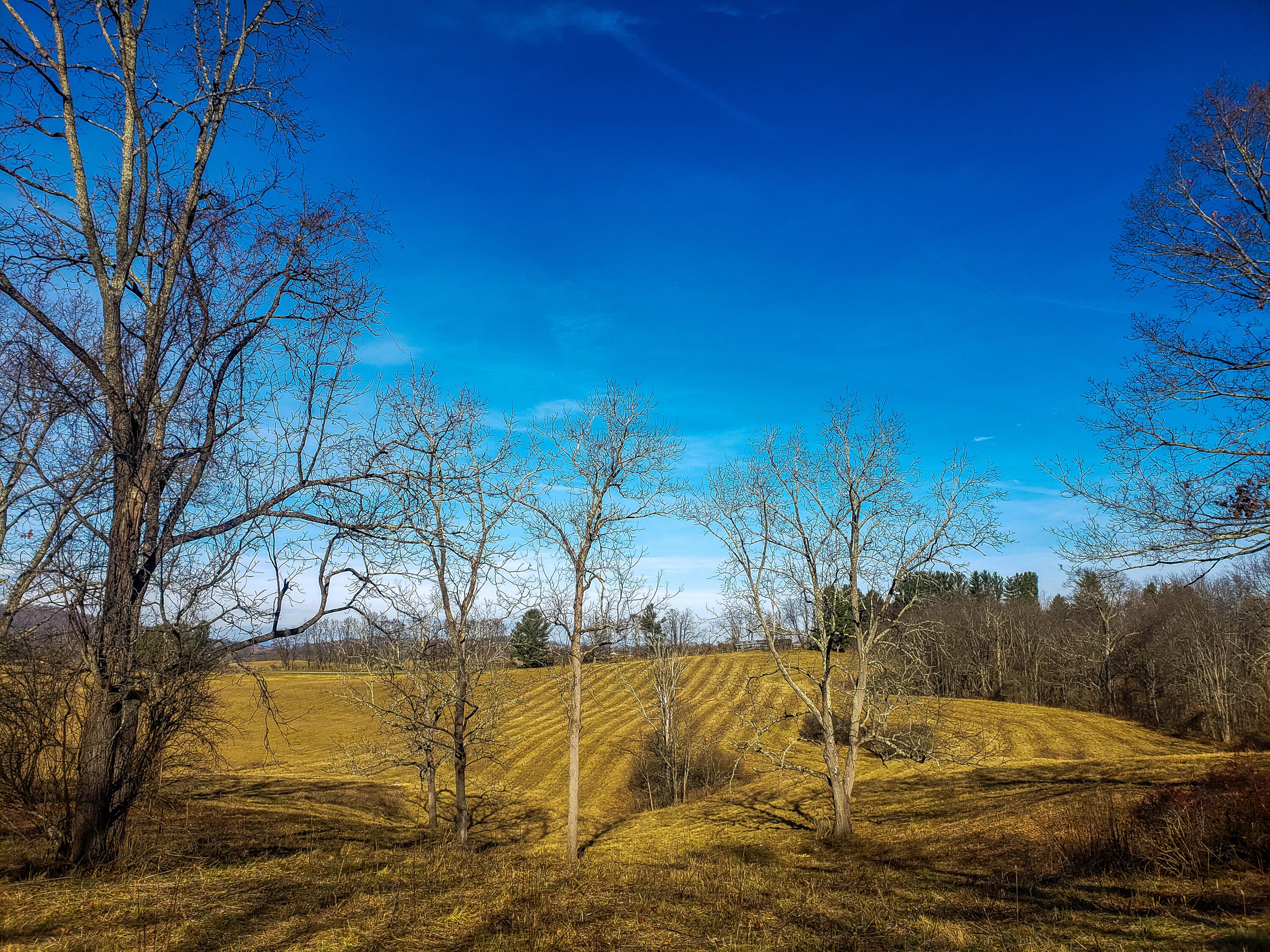 Lost World Road Lewisburg, WV 24901 - Photo 21 of 27 Gallery Image 21
