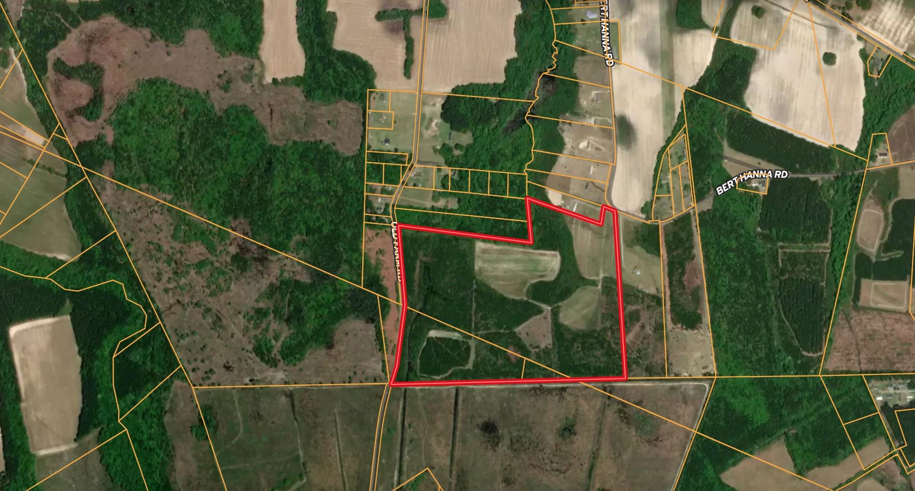 77-acres - Tbd Bert Hanna Road Hemingway, SC 29554 - Photo 24 of 28