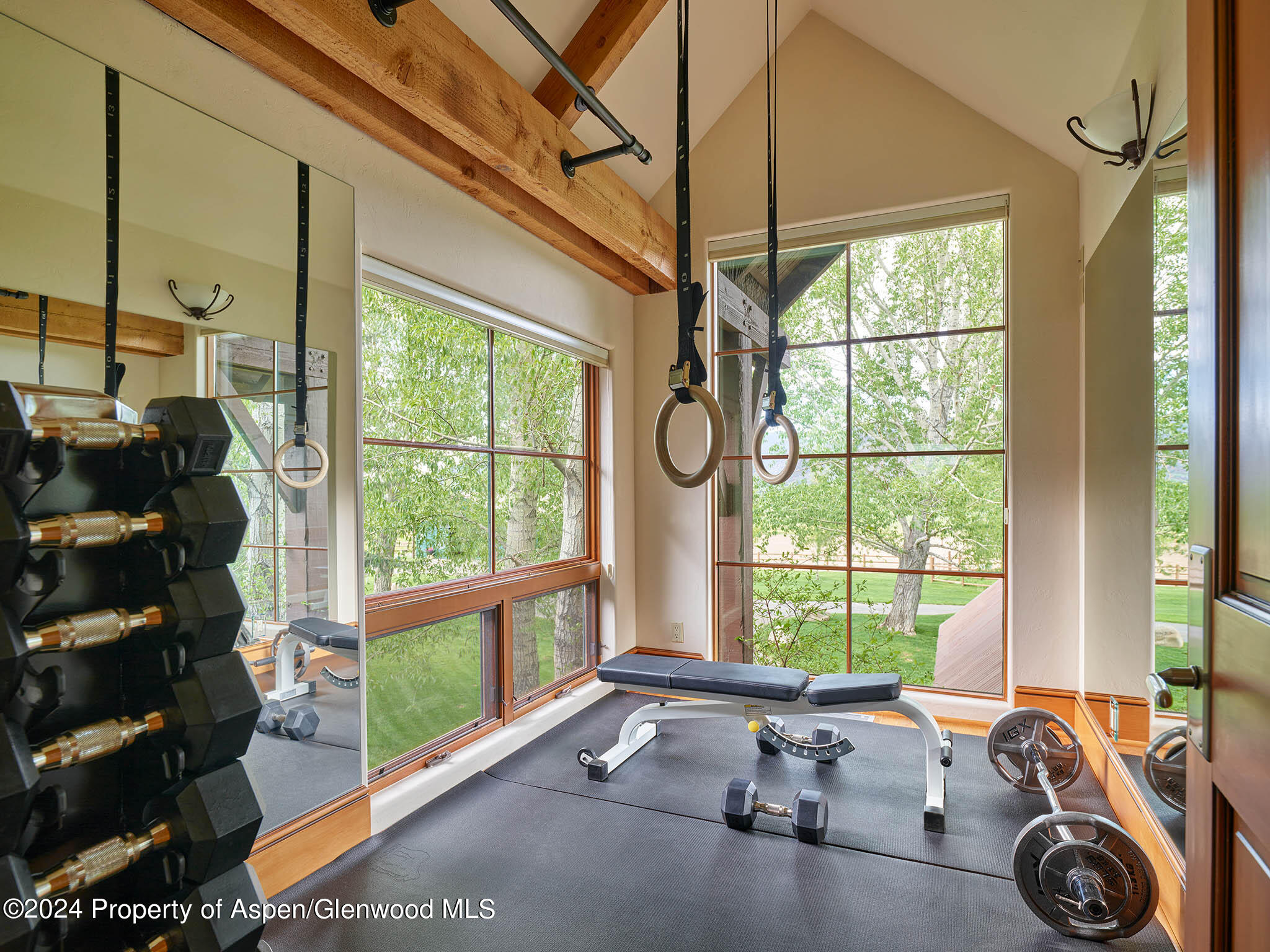 910 White Star Drive Aspen, CO 81612 - Photo 21 of 66 Gym on upper level