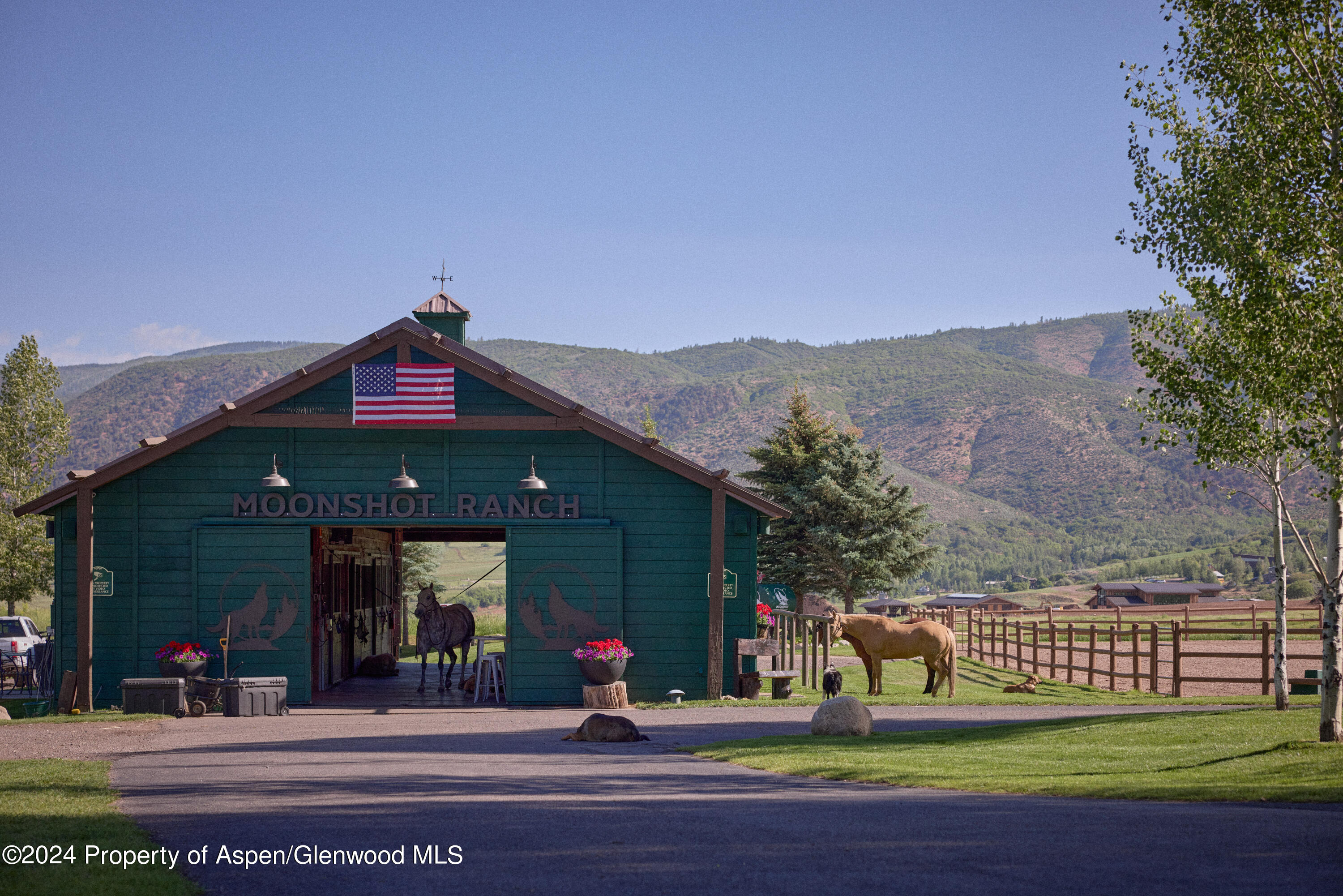 910 White Star Drive Aspen, CO 81612 - Photo 34 of 66 a view of a building with a yard