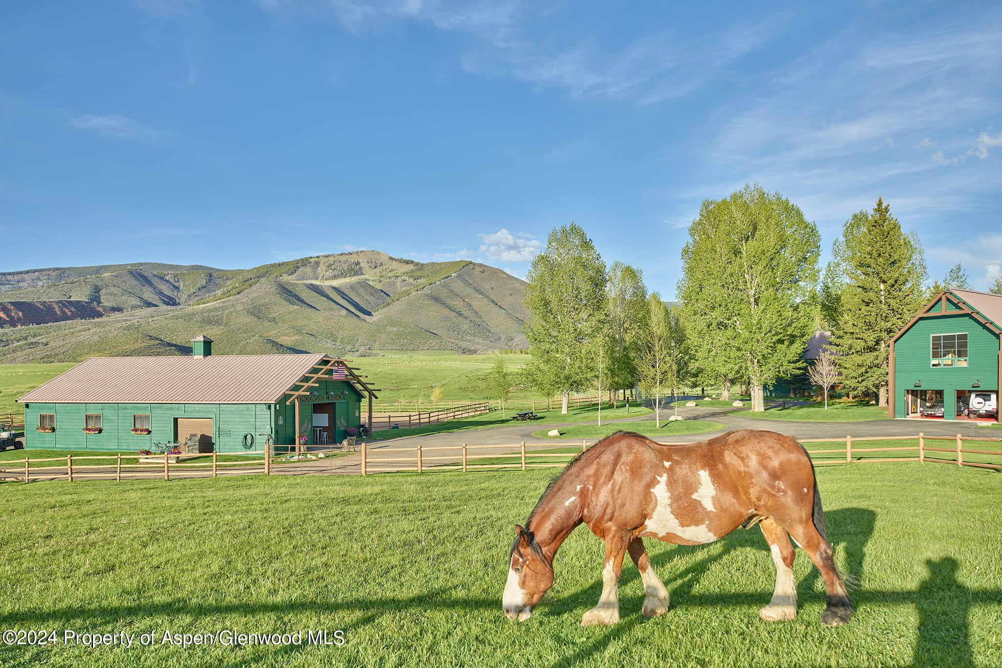 910 White Star Drive Aspen, CO 81612 - Photo 42 of 66 a view of an outdoor space and a yard