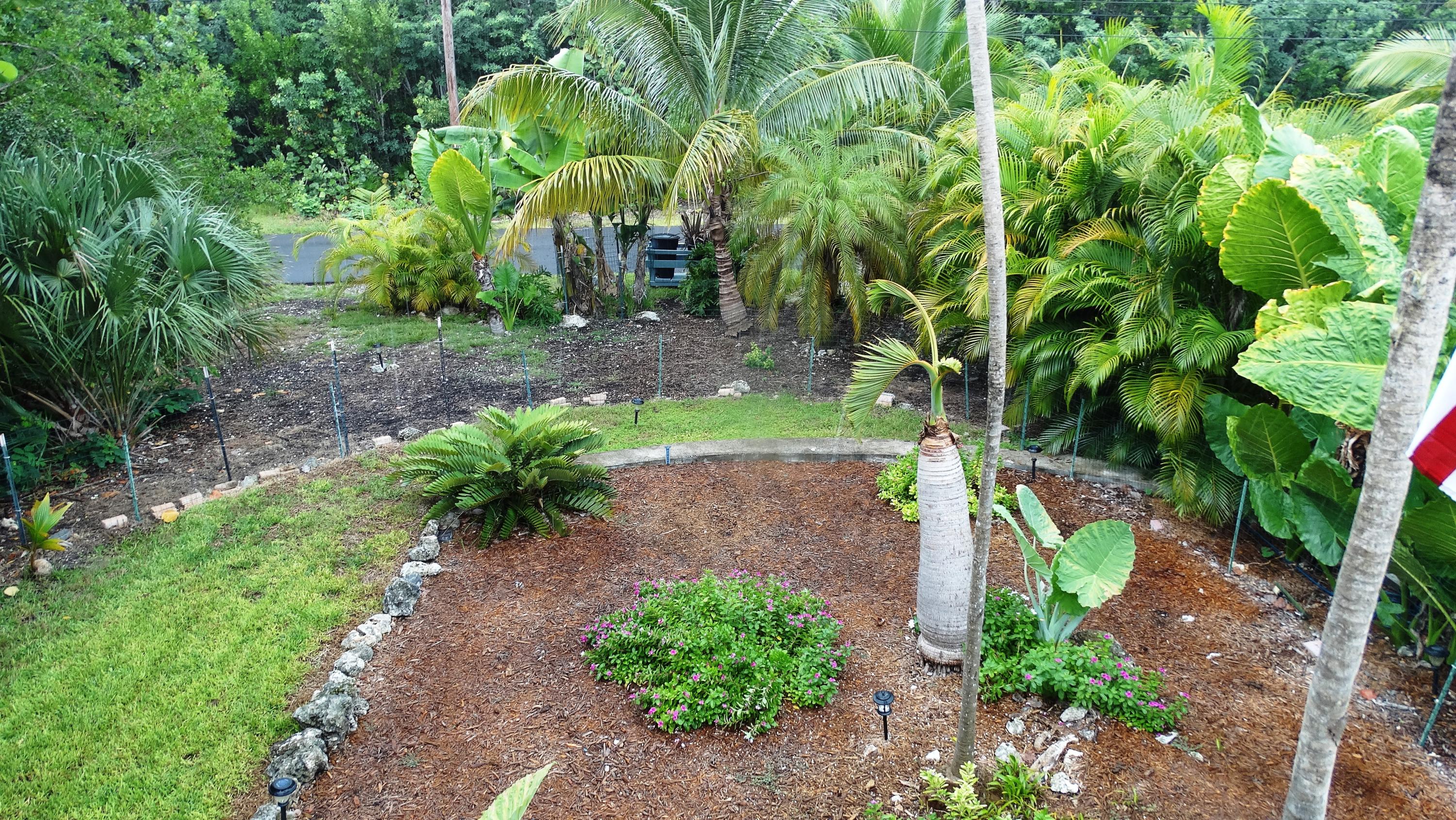 Front yard fenced for dogs