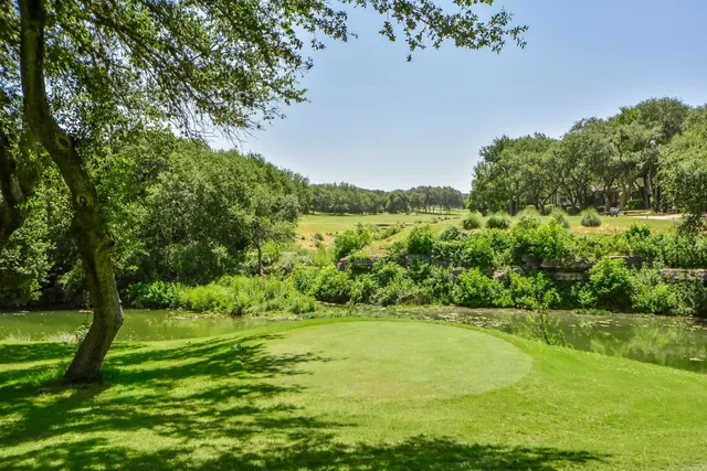 an aerial view of lake residential houses with outdoor space and trees