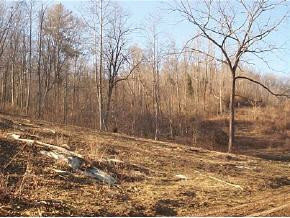 0 Little Wolf Run Road Bristol, VA 24202 - Photo 7 of 7 Photo 7