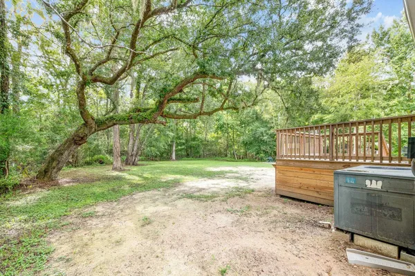 a view of a yard with a tree