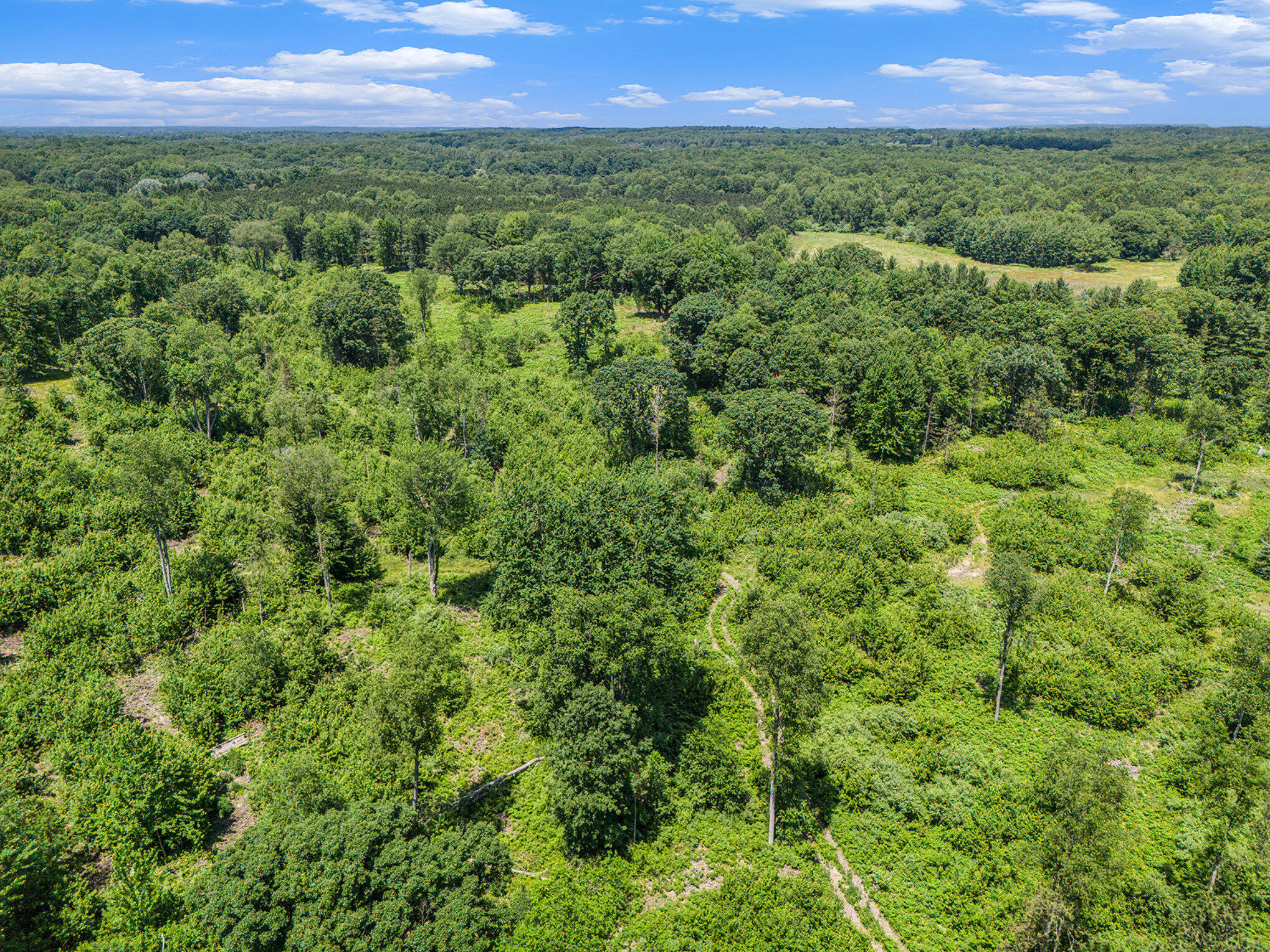 dji_20250626134710_0338_d_323