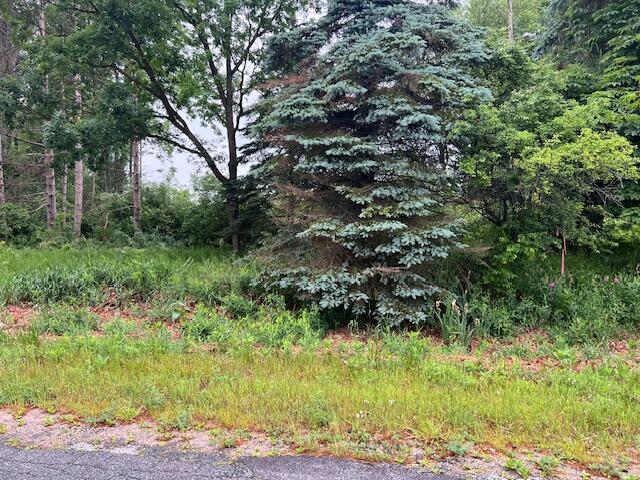 2714 East Hawley Road Custer, MI 49405 - Photo 11 of 13 IMG_1974