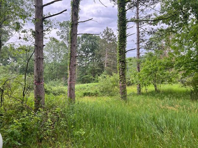 2714 East Hawley Road Custer, MI 49405 - Photo 12 of 13 IMG_1958