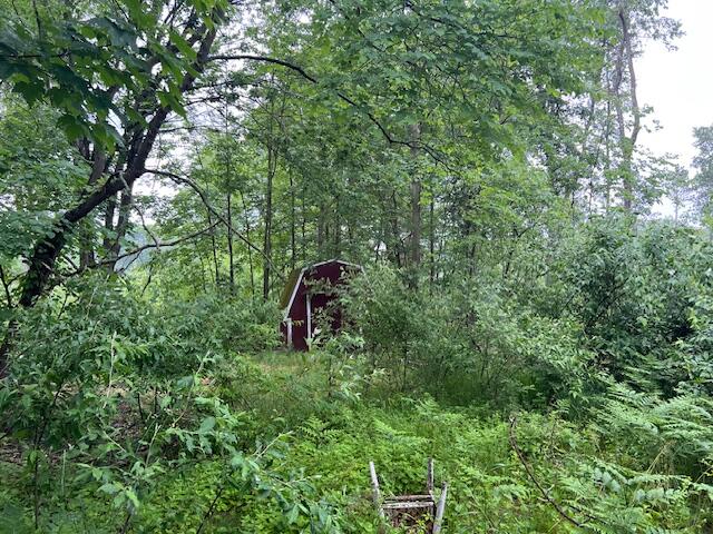 2714 East Hawley Road Custer, MI 49405 - Photo 13 of 13 IMG_1962