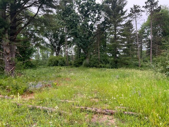 2714 East Hawley Road Custer, MI 49405 - Photo 10 of 13 IMG_1972