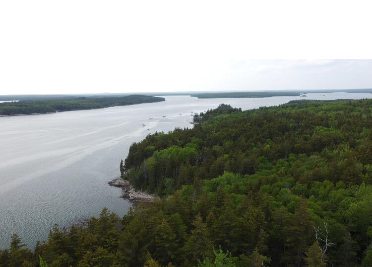 Lot 5 Ripley Neck Road Harrington, ME 04643 - Photo 14 of 39 IMG_8008