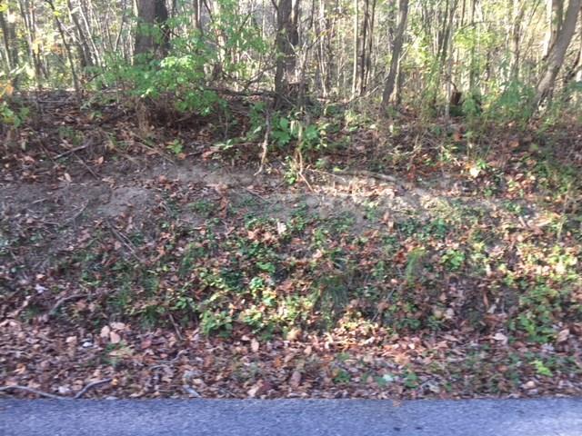 Lot East Butler Road Butler, PA 16002 - Photo 3 of 7