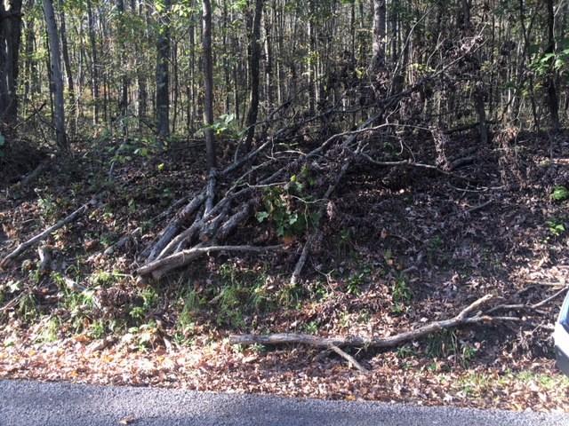 Lot East Butler Road Butler, PA 16002 - Photo 6 of 7