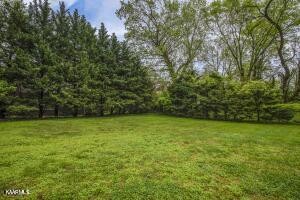 1310 Craig Road Knoxville, TN 37919 - Photo 8 of 12 Gallery Image 8