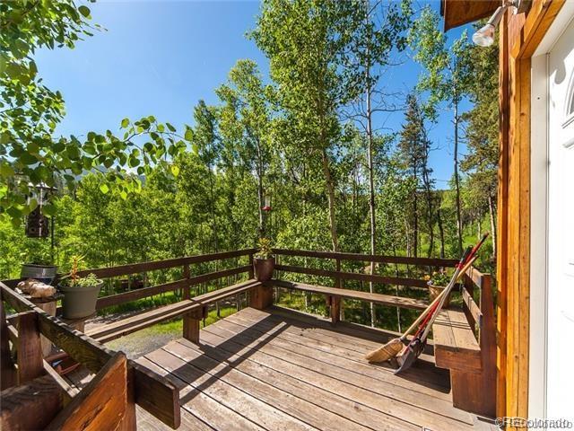 209 Bowles Ranch Road Black Hawk, CO 80422 - Photo 3 of 8 Gallery Image 3