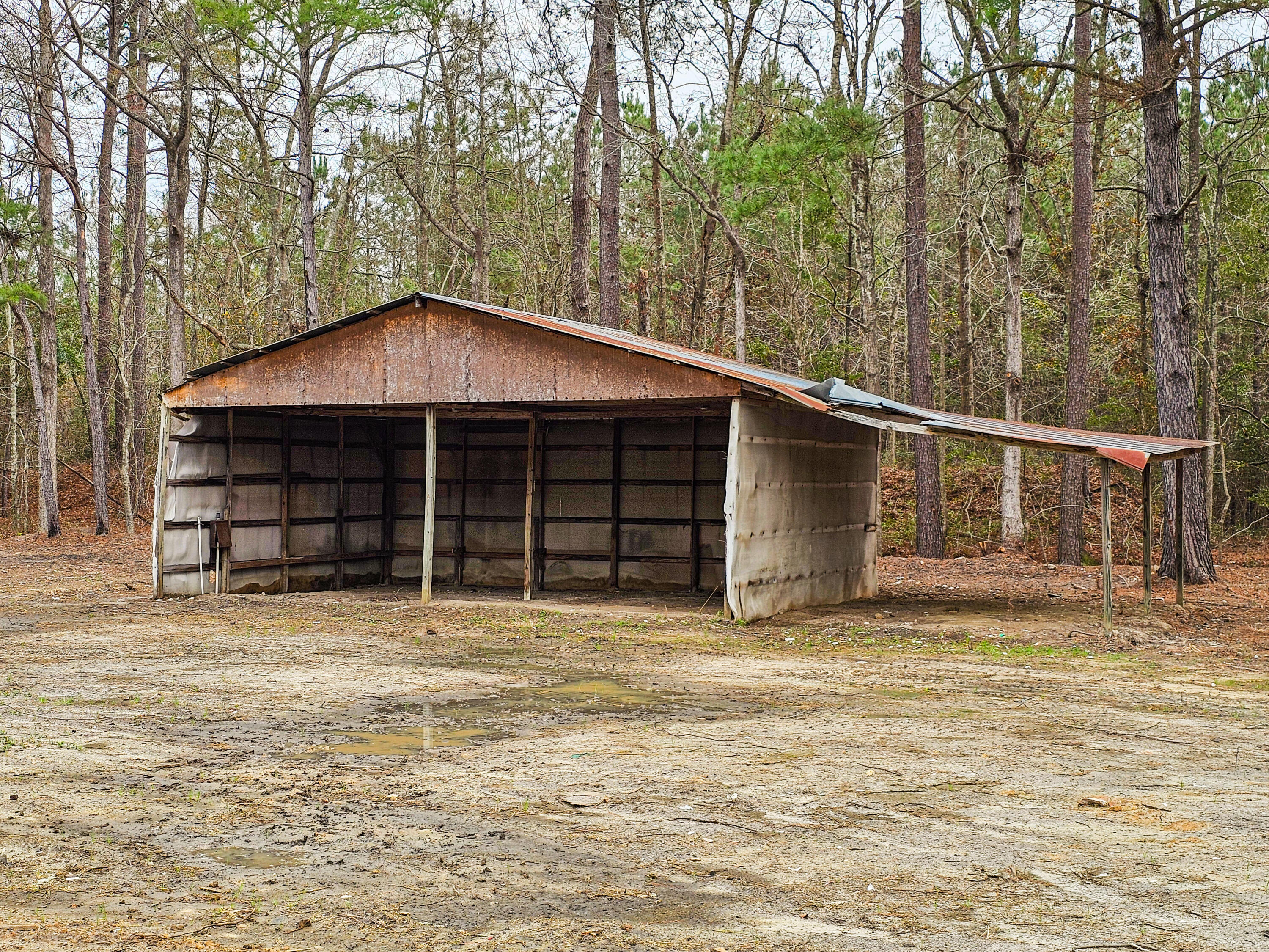 261 Fields Creek Road Ruffin, SC 29475 - Photo 9 of 25 231 Field Creek Road (10)