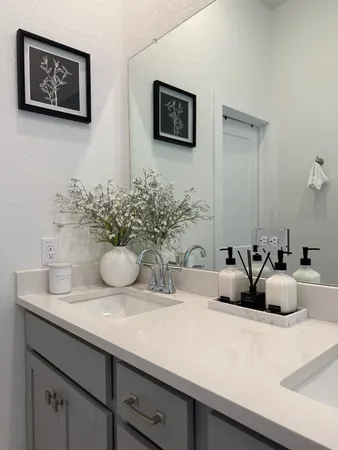 a view of a counter top a potted plant and a mirror