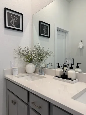 a view of a counter top a potted plant and a mirror
