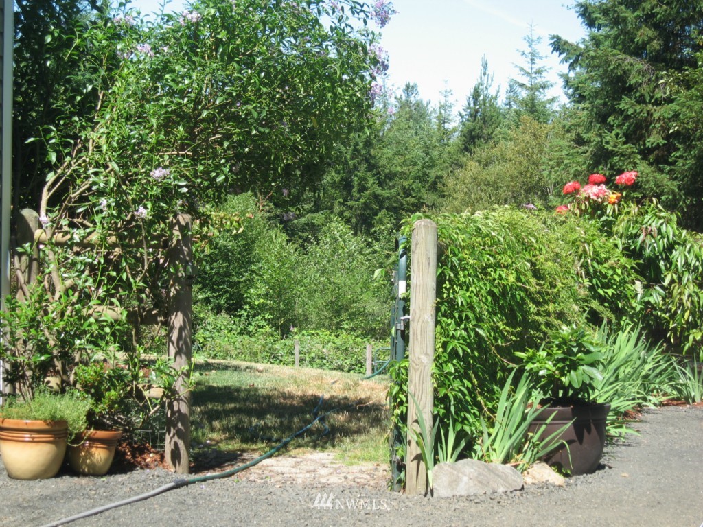 4270 East Rasor Road Belfair, WA 98528 - Photo 3 of 24 Gallery Image 3