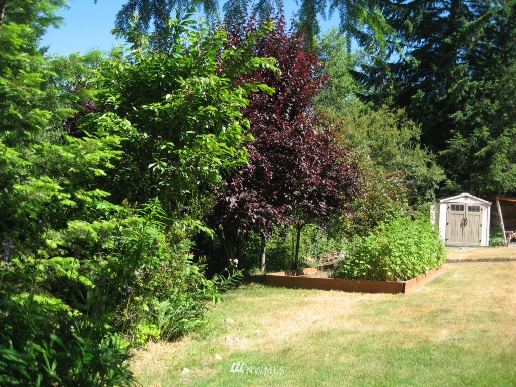 4270 East Rasor Road Belfair, WA 98528 - Photo 5 of 24 Gallery Image 5