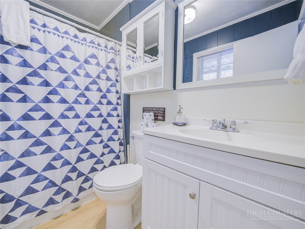 1471 Bamboo Road Boone, NC 28607 - Photo 12 of 19 a bathroom with a sink and a toilet