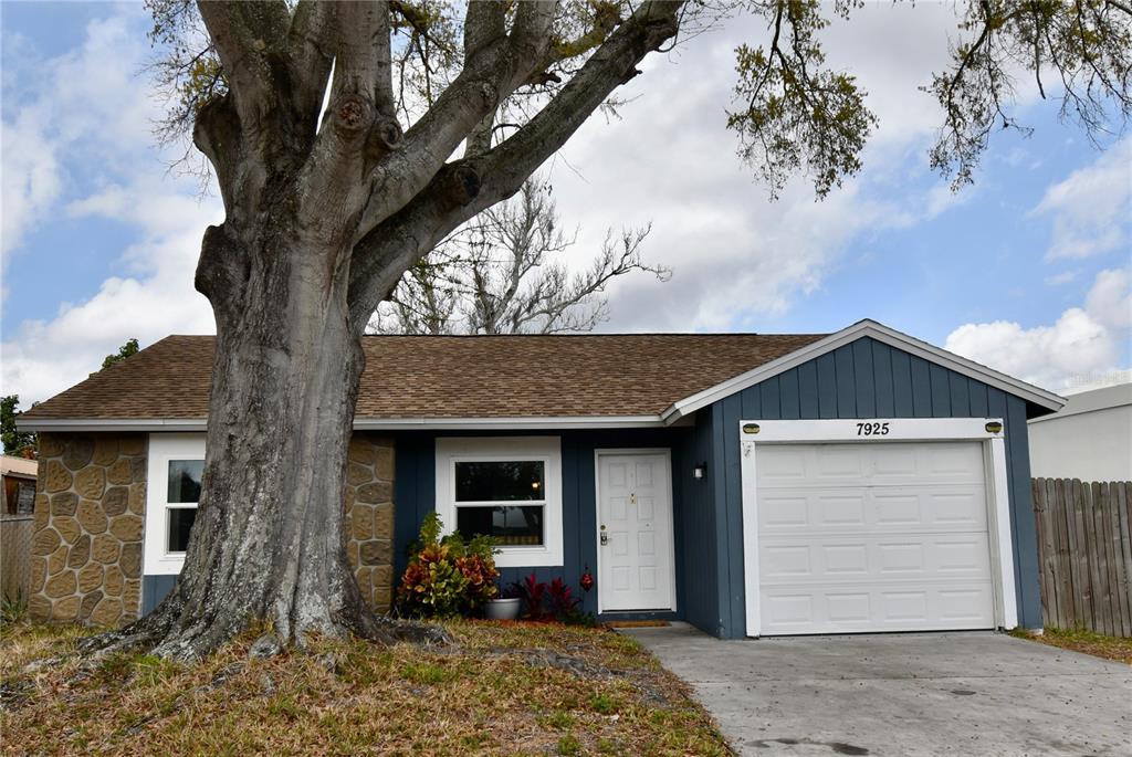 7925 Mitchell Ranch Road New Port Richey, FL 34655 - Photo 36 of 36 Gallery Image 36