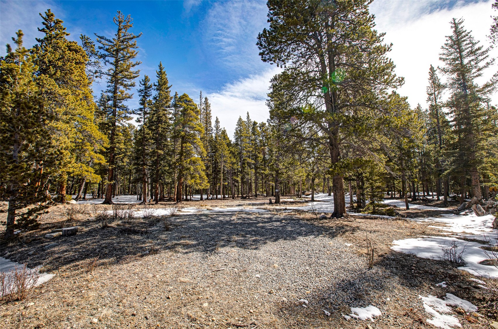 122 Arts Pike Road Fairplay, CO 80440 - Photo 12 of 50 a view of road with trees