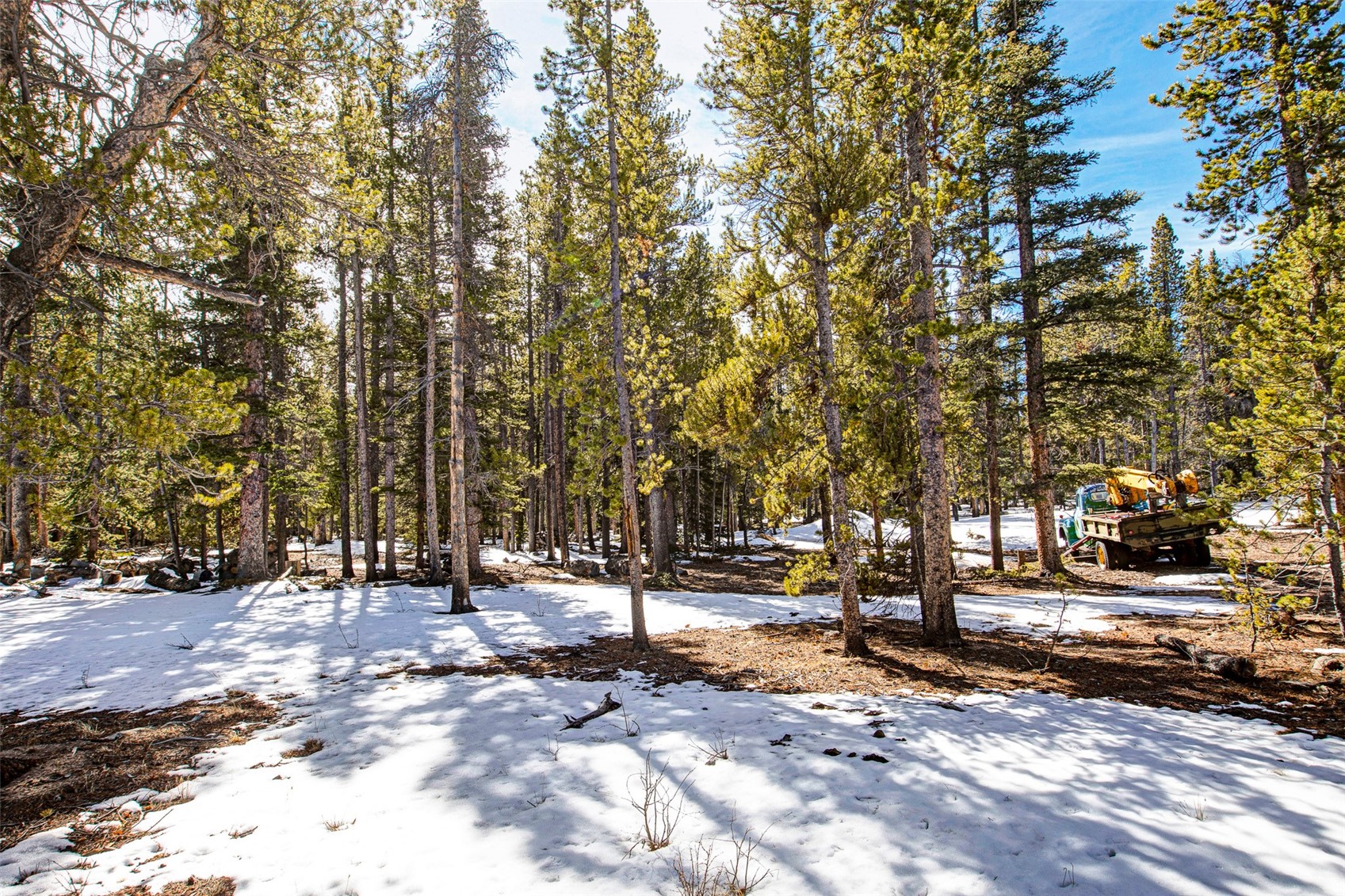 122 Arts Pike Road Fairplay, CO 80440 - Photo 13 of 50 a view of road with trees