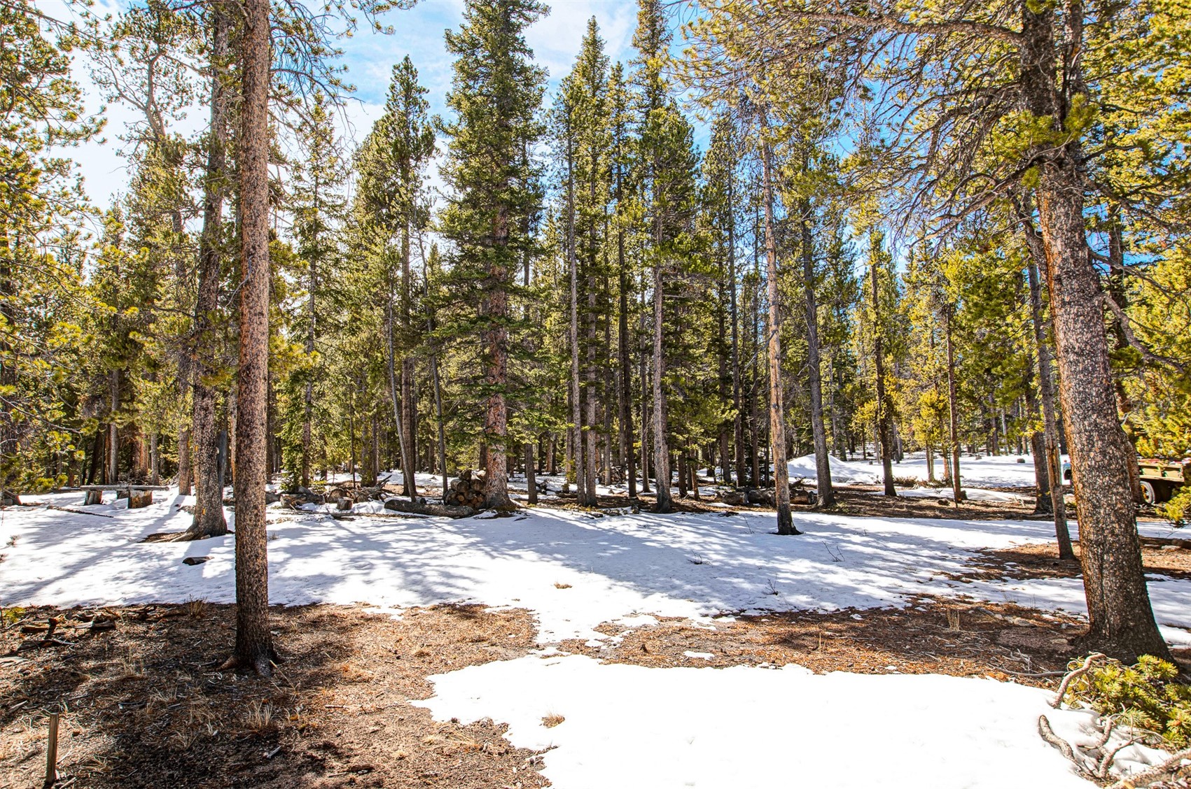 122 Arts Pike Road Fairplay, CO 80440 - Photo 14 of 50 a view of a yard with trees