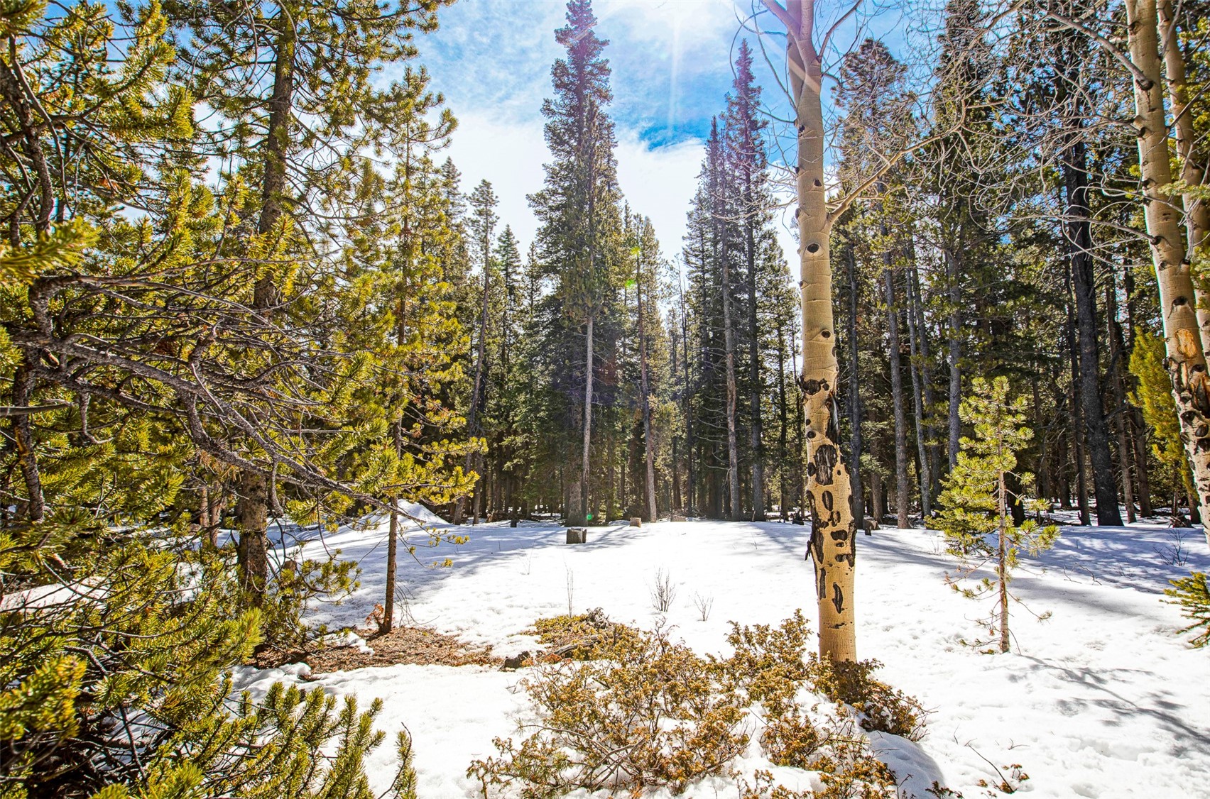 122 Arts Pike Road Fairplay, CO 80440 - Photo 17 of 50 a view of a snow in the yard