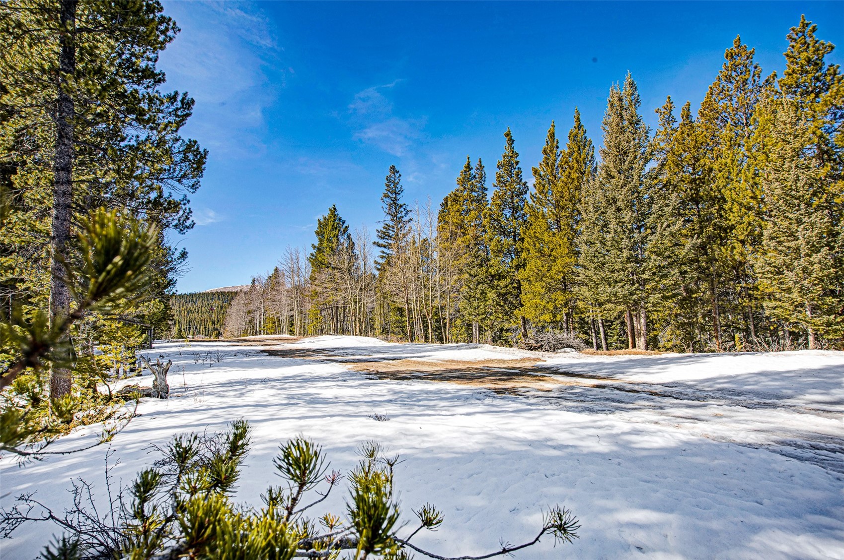 122 Arts Pike Road Fairplay, CO 80440 - Photo 18 of 50 a view of a backyard of the house