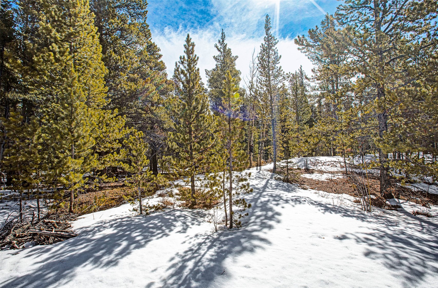 122 Arts Pike Road Fairplay, CO 80440 - Photo 20 of 50 a view of a yard with trees