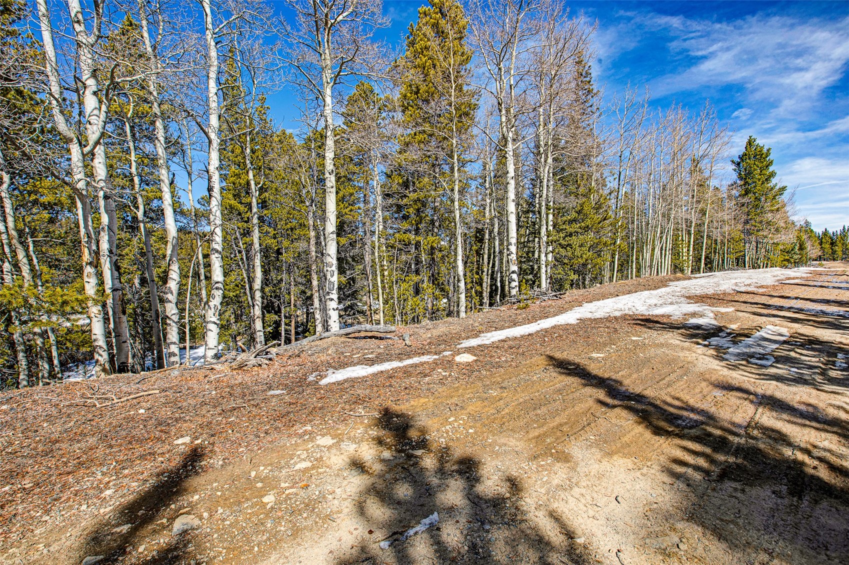 122 Arts Pike Road Fairplay, CO 80440 - Photo 21 of 50 a view of a backyard of a house