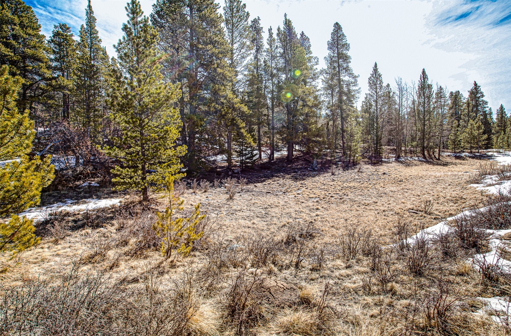122 Arts Pike Road Fairplay, CO 80440 - Photo 25 of 50 a view of a yard with trees