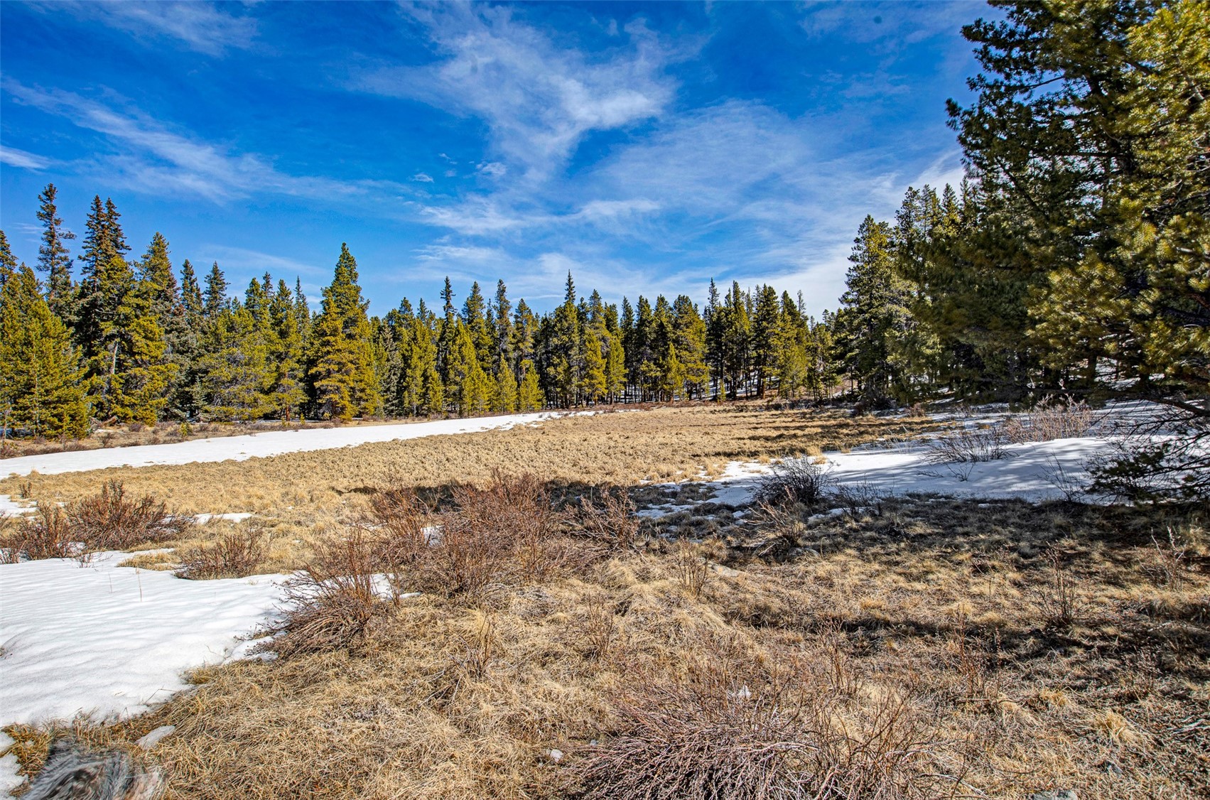 122 Arts Pike Road Fairplay, CO 80440 - Photo 26 of 50 a view of dirt yard with large trees