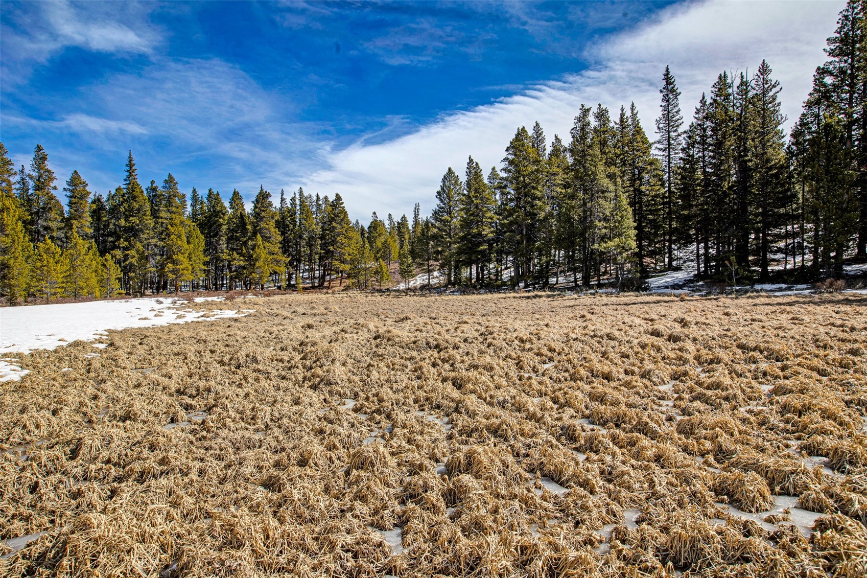 122 Arts Pike Road Fairplay, CO 80440 - Photo 27 of 50 a view of side of a building