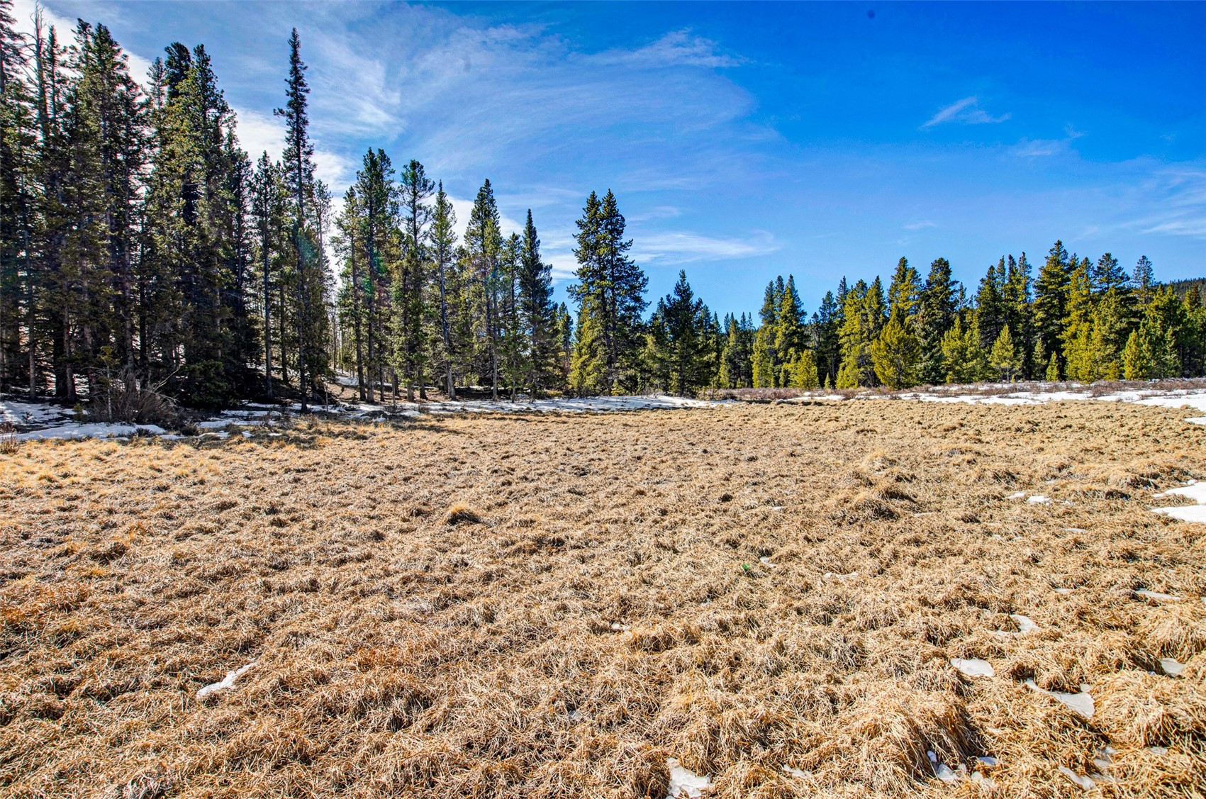 122 Arts Pike Road Fairplay, CO 80440 - Photo 28 of 50 a view of a yard with trees in the background