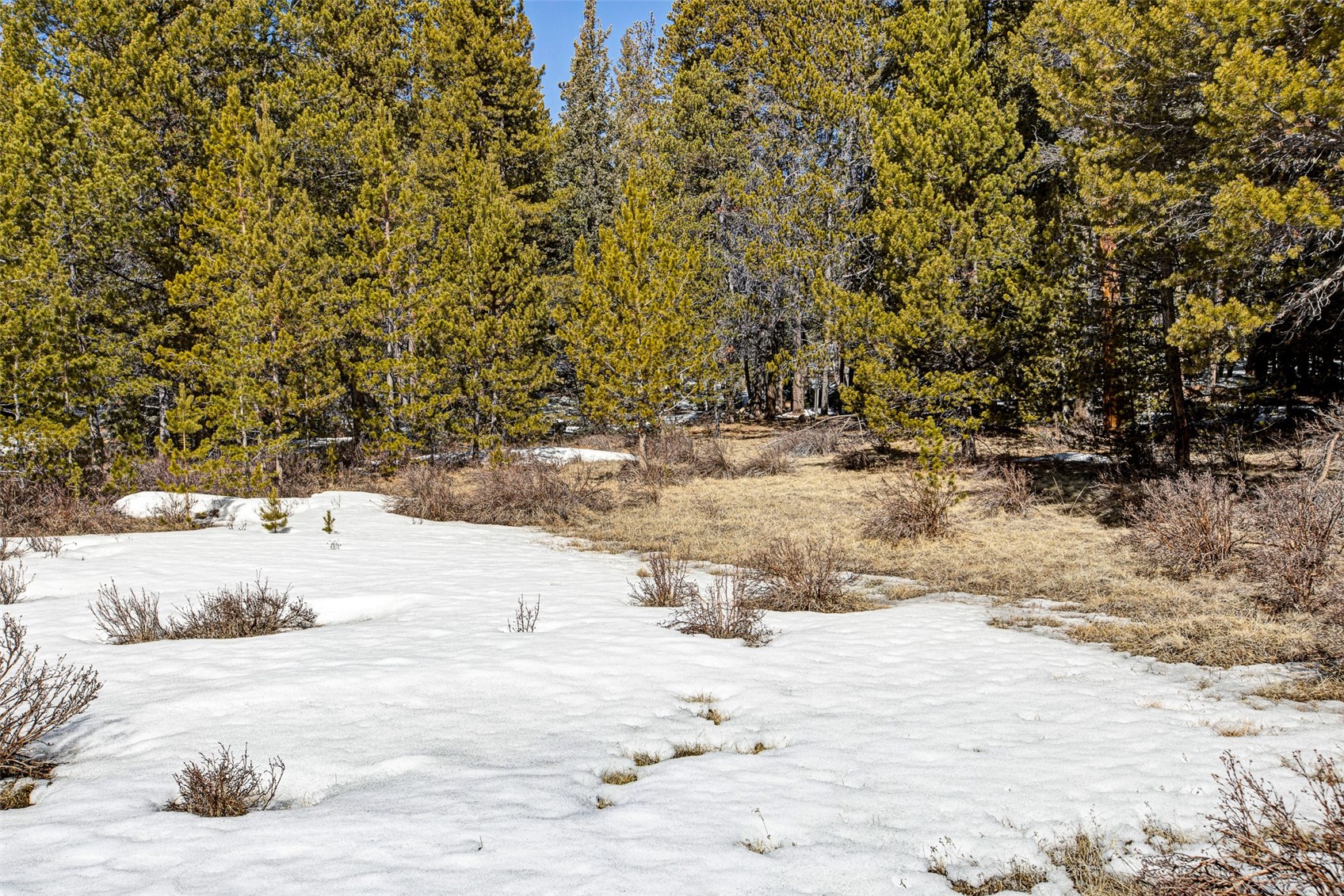 122 Arts Pike Road Fairplay, CO 80440 - Photo 29 of 50 a view of a snow yard and covered with snow