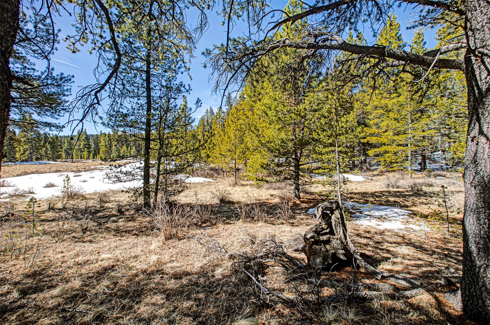 122 Arts Pike Road Fairplay, CO 80440 - Photo 35 of 50 a view of a yard covered with snow in the yard