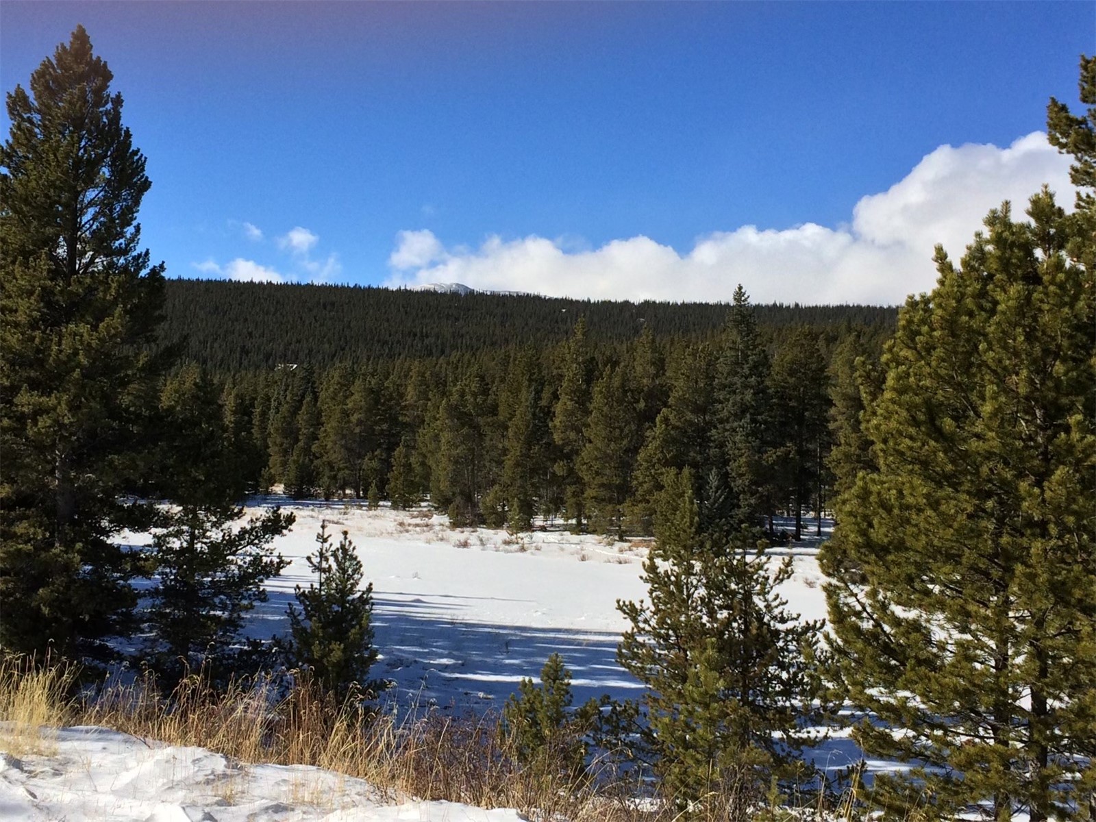 122 Arts Pike Road Fairplay, CO 80440 - Photo 48 of 50 a view of a yard covered with snow