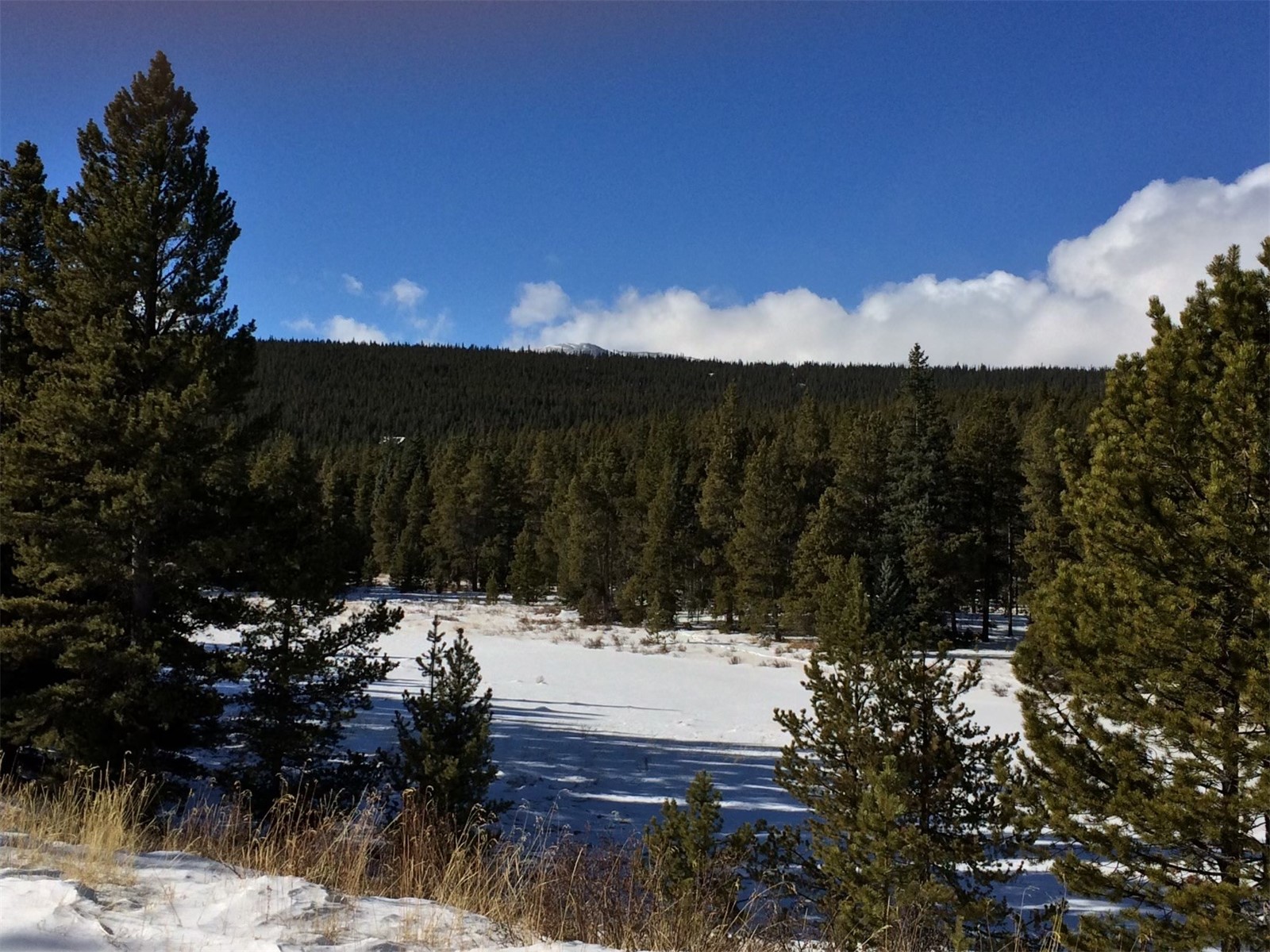 122 Arts Pike Road Fairplay, CO 80440 - Photo 49 of 50 a view of covered with snow