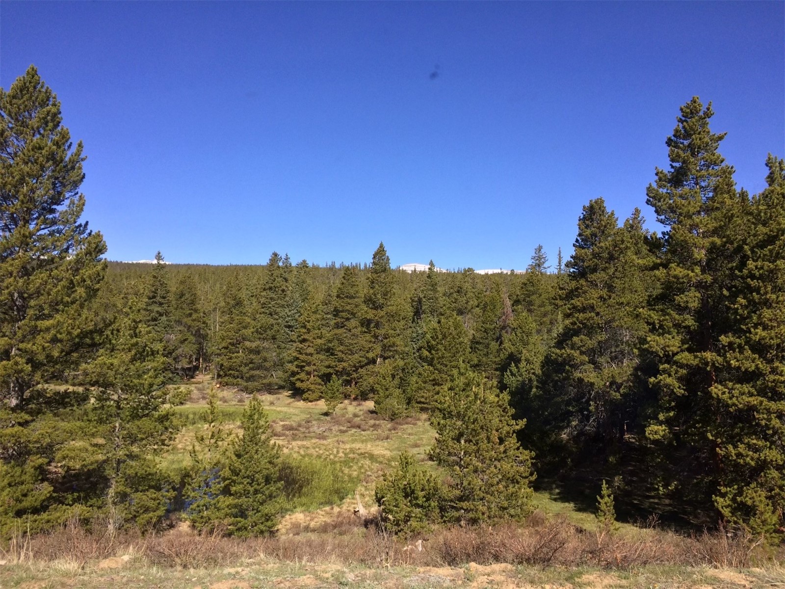 122 Arts Pike Road Fairplay, CO 80440 - Photo 50 of 50 a view of a building