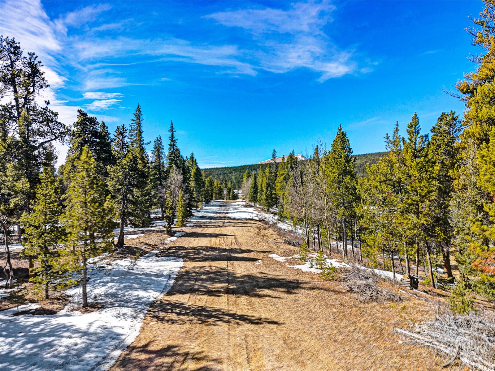 122 Arts Pike Road Fairplay, CO 80440 - Photo 6 of 50 a view of a yard with wooden fence