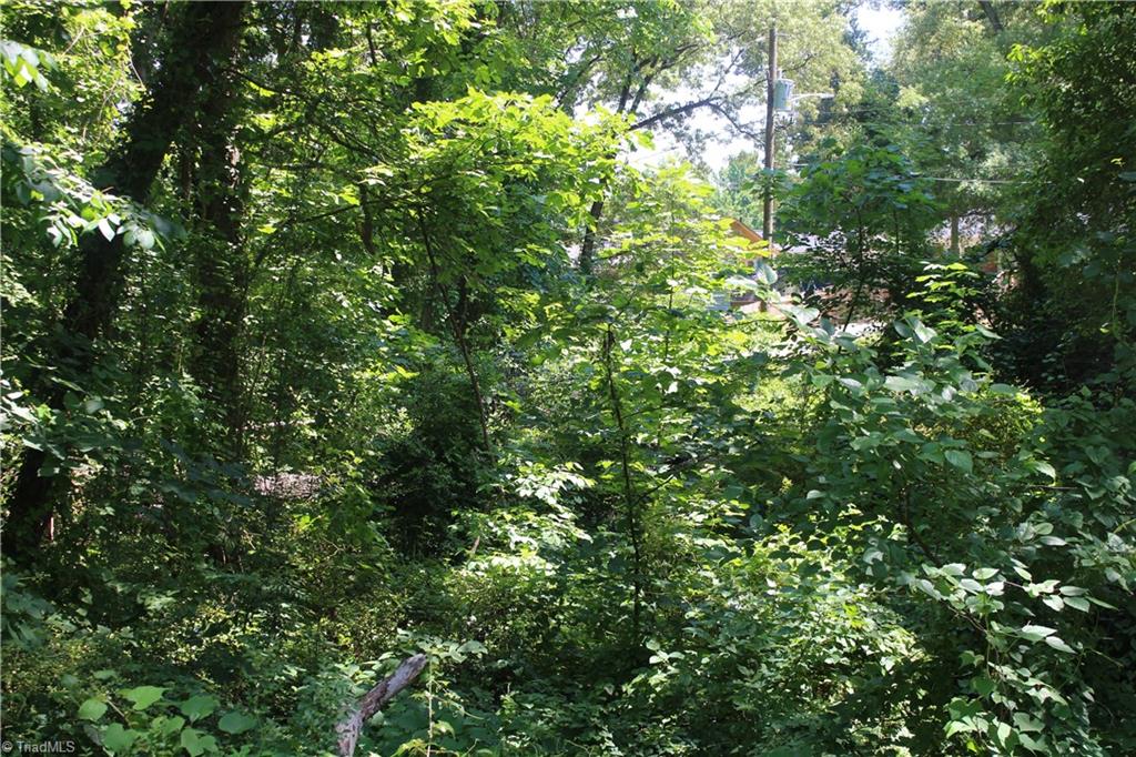 1801 East Commerce Avenue High Point, NC 27260 - Photo 10 of 17