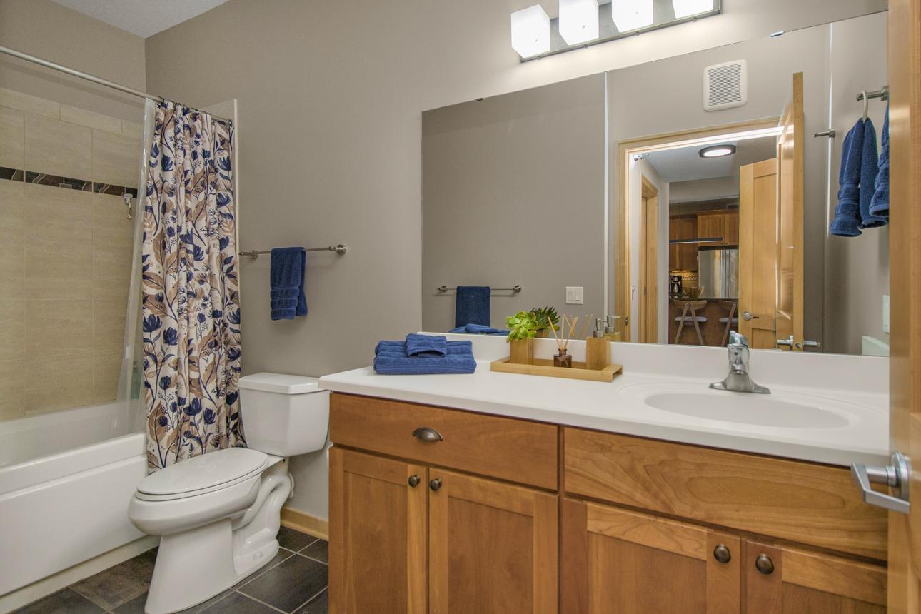 256 Spring Street, Unit 120 St. Paul, MN 55102 - Photo 21 of 35
