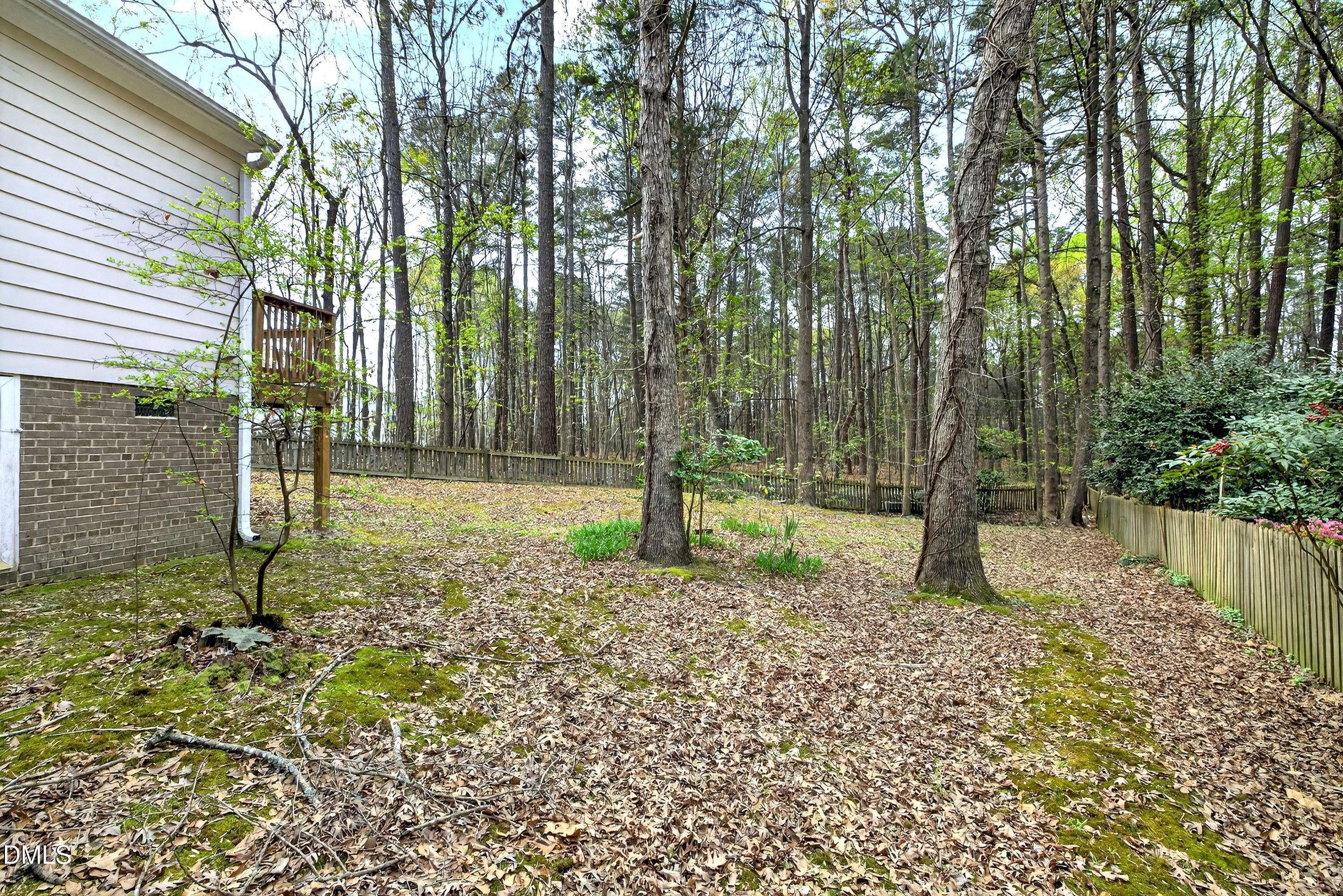 4949 Liverpool Lane Raleigh, NC 27604 - Photo 41 of 58 Sideyard