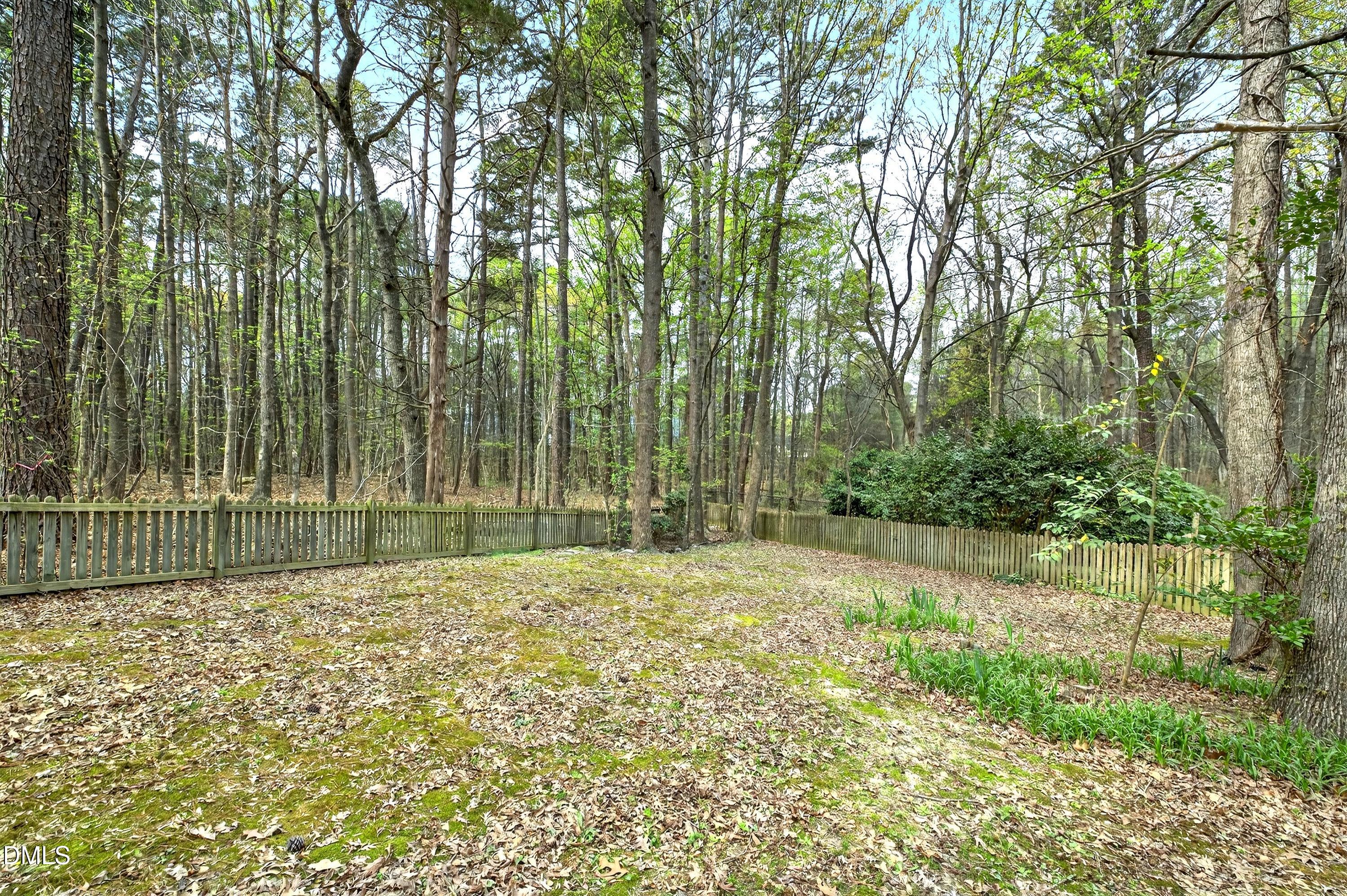 4949 Liverpool Lane Raleigh, NC 27604 - Photo 48 of 58 Backyard