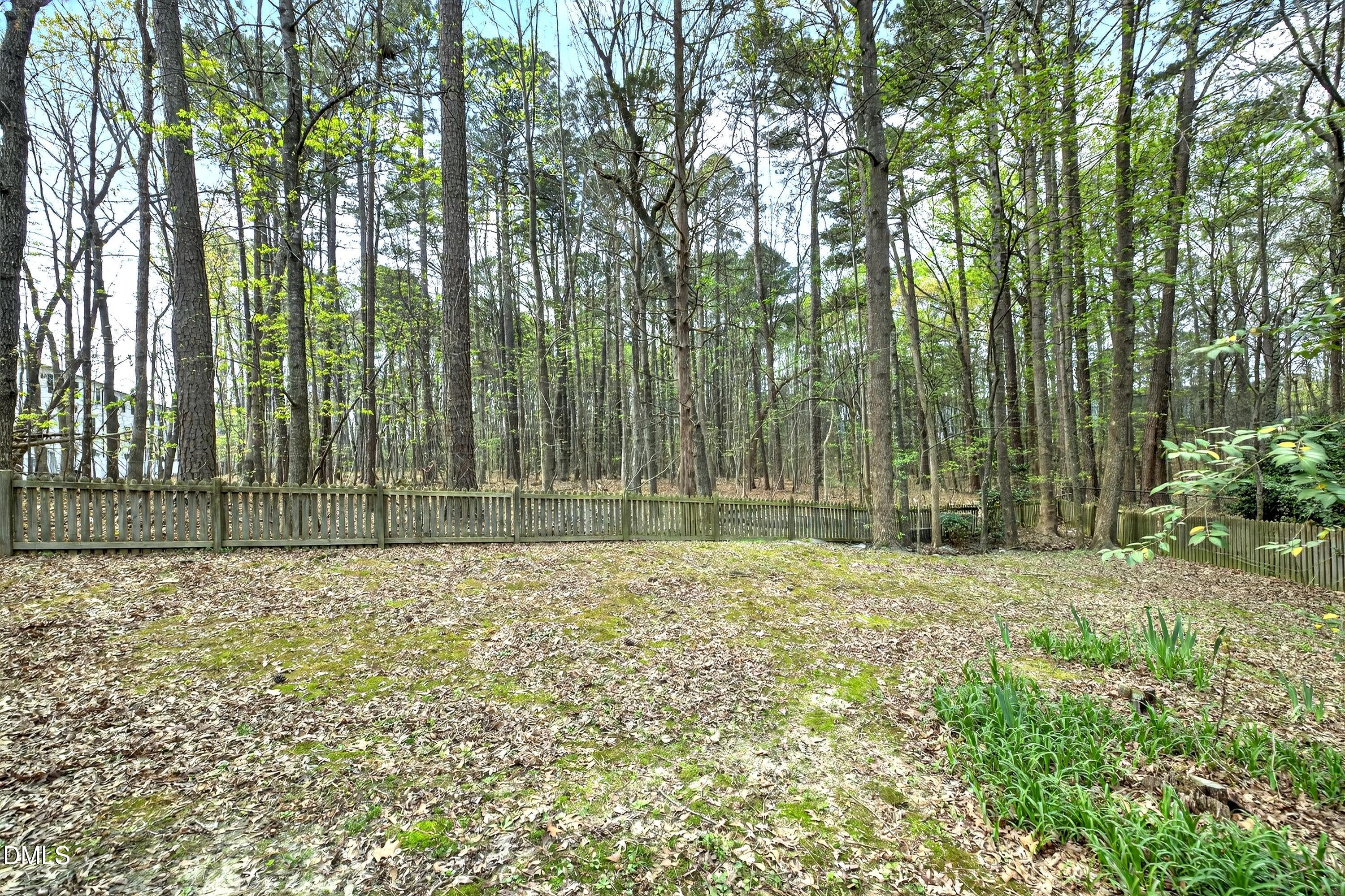 4949 Liverpool Lane Raleigh, NC 27604 - Photo 49 of 58 Backyard