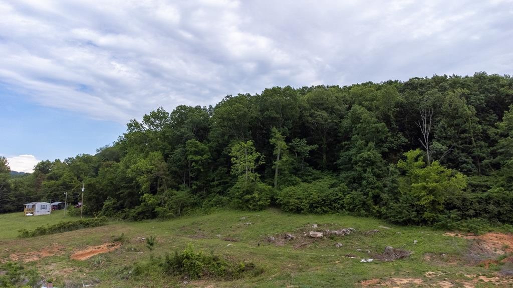 0 Rhodes Road New Market, TN 37820 - Photo 5 of 16