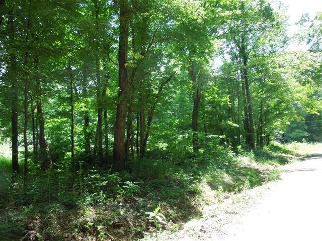 58 Maple Road Stewart, TN 37175 - Photo 1 of 10 58.38 Acres, no restrictions. Road frontage on 2 roads.